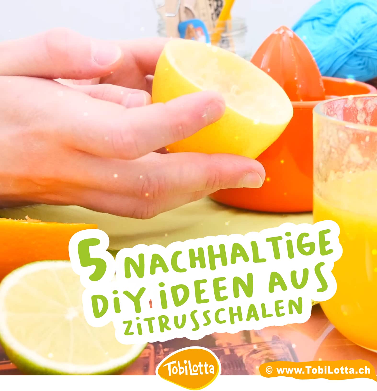 upcycling-zitrusschalen-was-tun-vogelkrippen-vogelfutter-diy-basteln-mit-kindern-1.-DIY-Zitrusreiniger-basteln-mit-muell-nachhaltige-bastelidee-fuer-kinder-blog